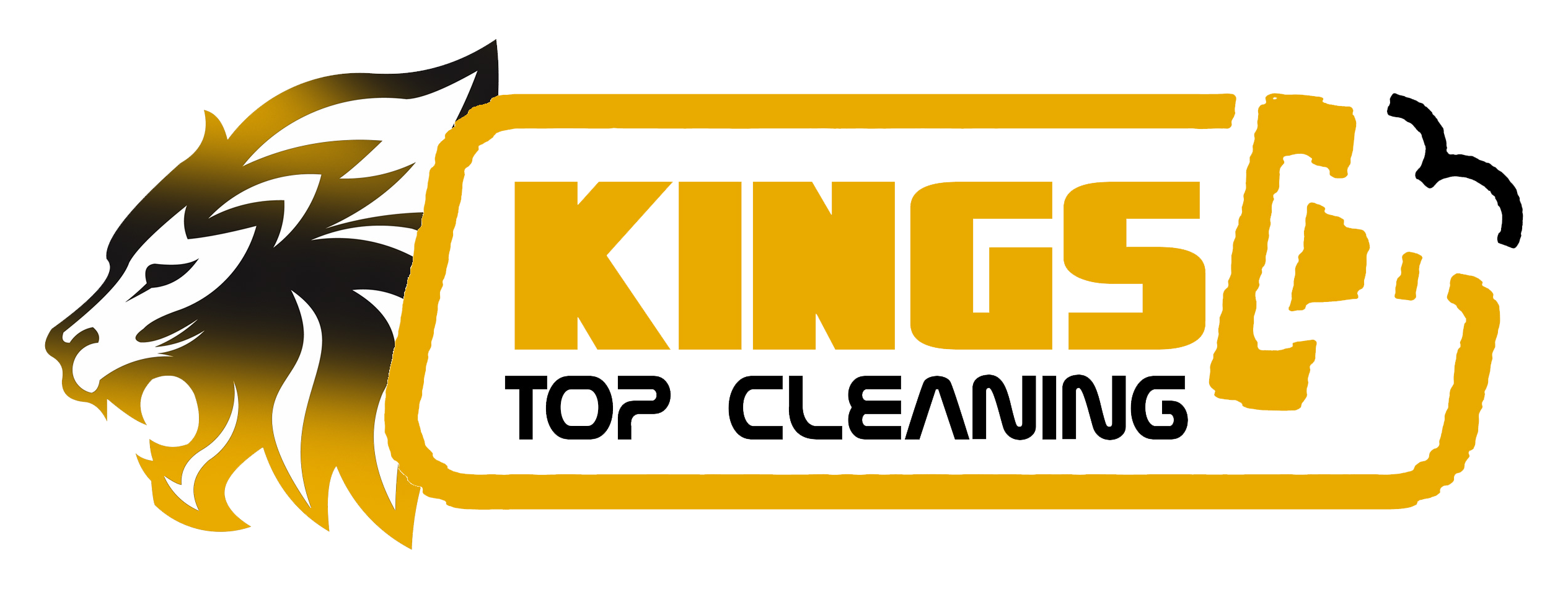 kingstopcleaning.com